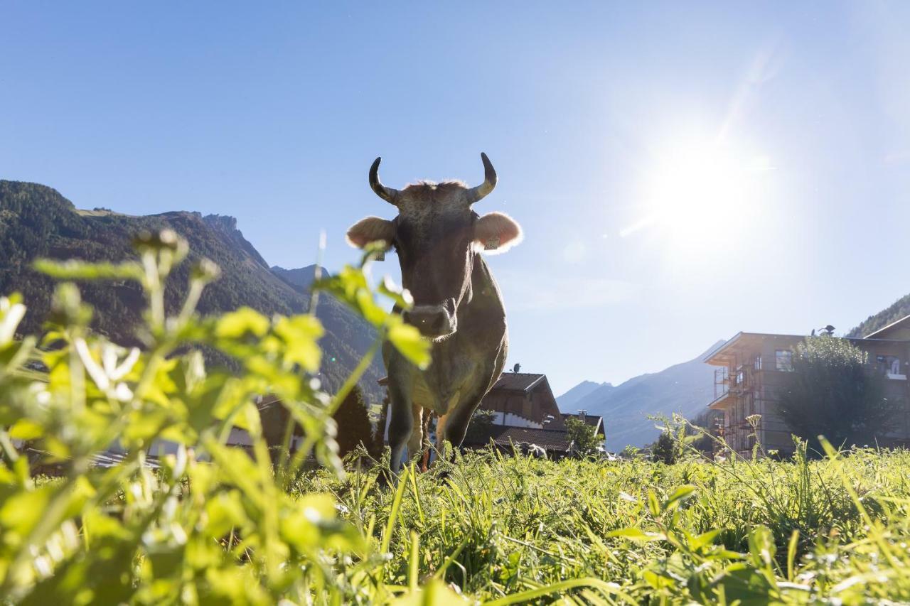 Hieserhof Neustift im Stubaital Εξωτερικό φωτογραφία